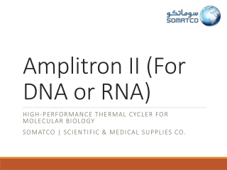 Amplitron II (For DNA or RNA) | High-Performance Thermal Cycler – SOMATCO