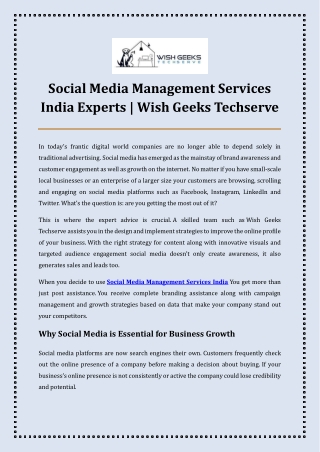 Social Media Management Services India Experts Wish Geeks Techserve