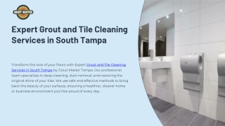 Expert Grout and Tile Cleaning Services in South Tampa