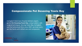 Compassionate Pet Desexing Yowie Bay by Caringbah Veterinary Hospital