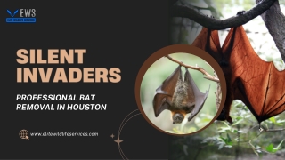 Silent Invaders Professional Bat Removal in Houston