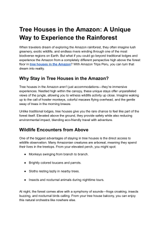 Tree Houses in the Amazon: A Unique Way to Experience the Rainforest