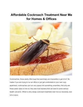 Affordable Cockroach Treatment Near Me for Homes & Offices