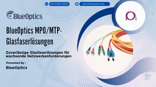 BlueOptics MPOMTP-Glasfaserlösungen