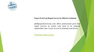 Expert Pool Leak Repair Service for Effective Solutions