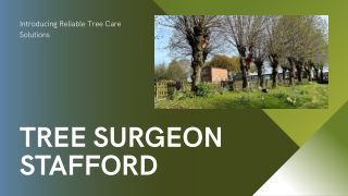 Tree Surgeon Stafford – Expert Tree Care & Professional Arborist Services