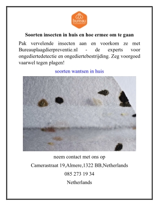 Soorten insecten in huis en hoe ermee om te gaan