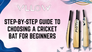Step-by-Step Guide to Choosing a Cricket Bat for Beginners