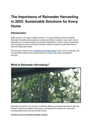 The Importance of Rainwater Harvesting in 2025: Sustainable Solutions for Every