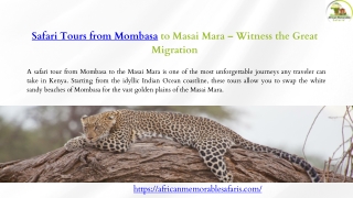 3-Day Safari Tours from Mombasa – Quick Escapes into the Wild