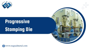 Progressive Stamping Die (2)