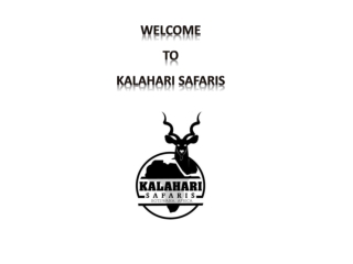 Kalahari safaris