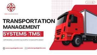 Transportation Management Systems: Driving Efficiency in Supply Chains