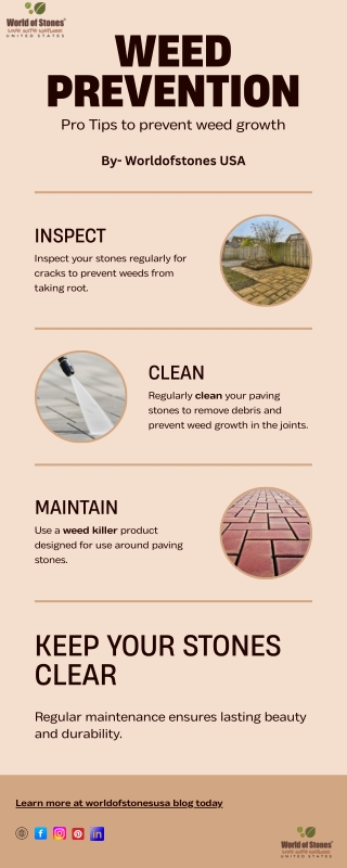 Ways to Prevent Weed Growth Between Paving Stones