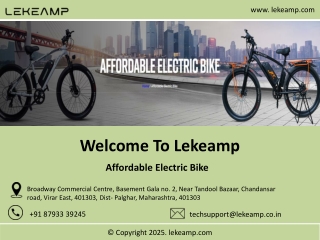 Affordable Electric Bike