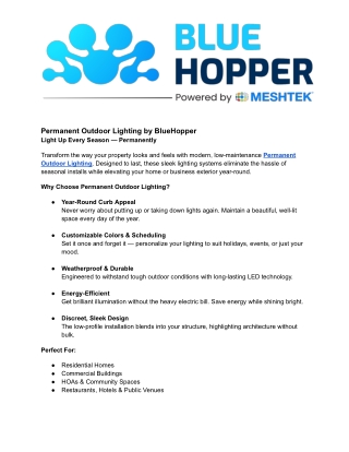 Year-Round Lighting Solutions for Modern Spaces by BlueHopper