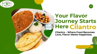 Your Flavor Journey Starts Here - Cilanatro