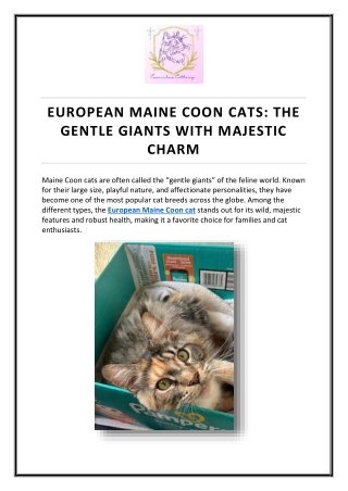 European Maine Coon Cats: The Gentle Giants with Majestic Charm