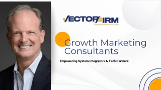 Vector Firm’s Growth Marketing Consultant Services for Sales-Focused Companies