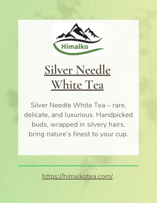 Why Choose Silver Needle White Tea?