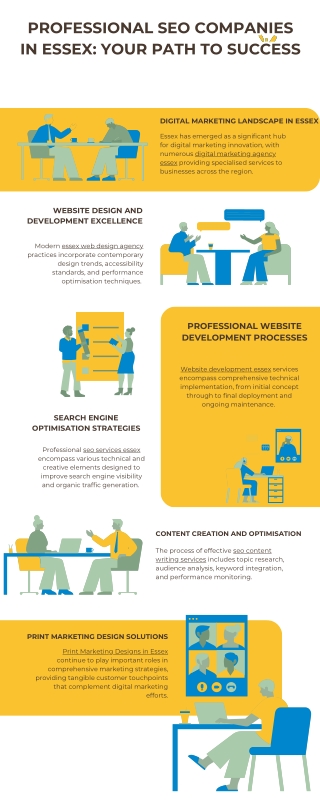 PROFESSIONAL SEO COMPANIES IN ESSEX: YOUR PATH TO SUCCESS