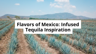 Flavors of Mexico Infused Tequila Inspiration
