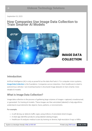 How Companies Use Image Data Collection to Train Smarter AI Models