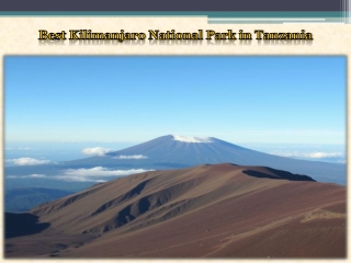 Best Kilimanjaro National Park in Tanzania