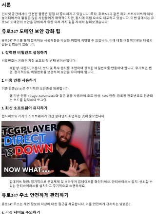 유로247 도메인 보안 강화 팁