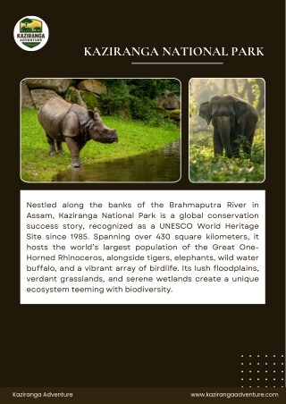 Kaziranga National Park