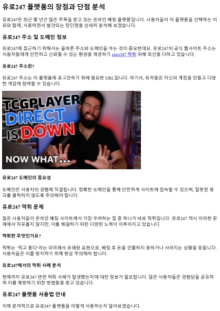 유로247 플랫폼의 장점과 단점 분석