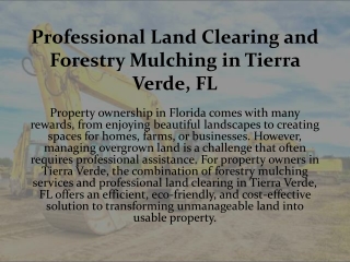 Professional Land Clearing and Forestry Mulching in Tierra
