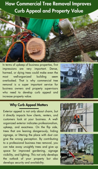 How Commercial Tree Removal Improves Curb Appeal and Property Value