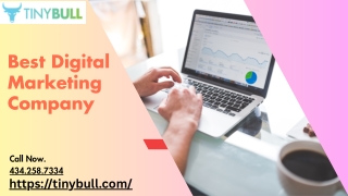 TinyBull Best Digital Marketing Company in USA for ROI Driven Results