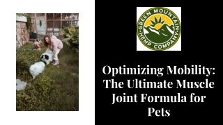 Optimizing Mobility The Ultimate Muscle Joint Formula for Pets