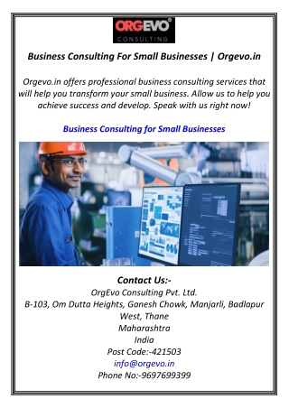 Business Consulting For Small Businesses | Orgevo.in