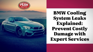 BMW Cooling System Leaks Explained Prevent Costly Damage with Expert Services