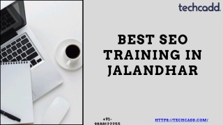 Best SEO Training in Jalandhar, Punjab
