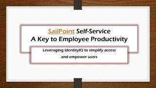 Sailpoint Training in Hyderabad with Real-Time Projects