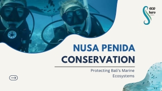 Nusa Penida Conservation: Protecting Bali’s Marine Ecosystems