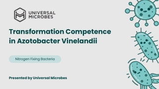 Induction of Transformation Competence in Azotobacter vinelandii Iron