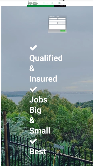 Tree Removal North Shore