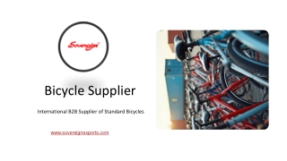 Trusted Standard Bicycle Supplier for Bulk Exporter - Sovereign Exports