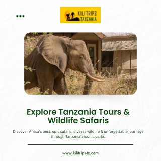 KiliTrip pdf Tours & Wildlife Safaris