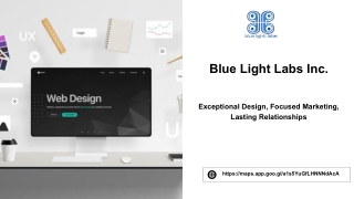 Blue Light Labs to Offer Custom Features in Web Design for Various Industry Clients
