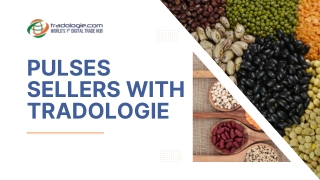 Pulses Sellers – Trusted Global Sources for Bulk Trade