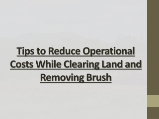 Tips to Reduce Operational Costs While Clearing Land and Removing Brush