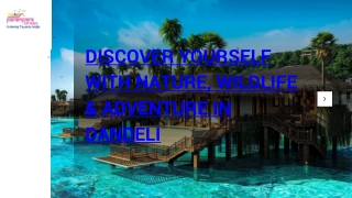 Why Choose Resorts in Dandeli?