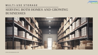 Multi-Use Storage Serving Both Homes and Growing Businesses