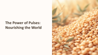 The-Power-of-Pulses-Nourishing-the-World